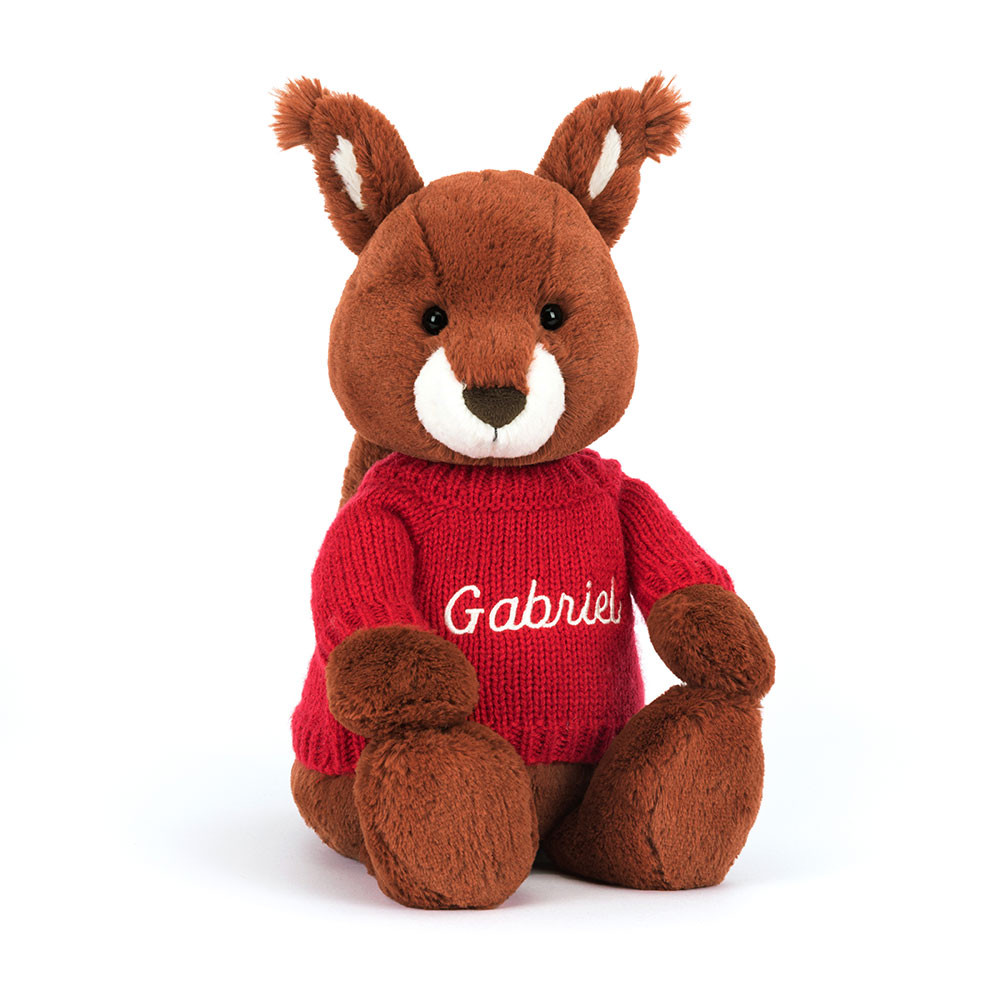 Bashful Squirrel With Personalised Red Jumper