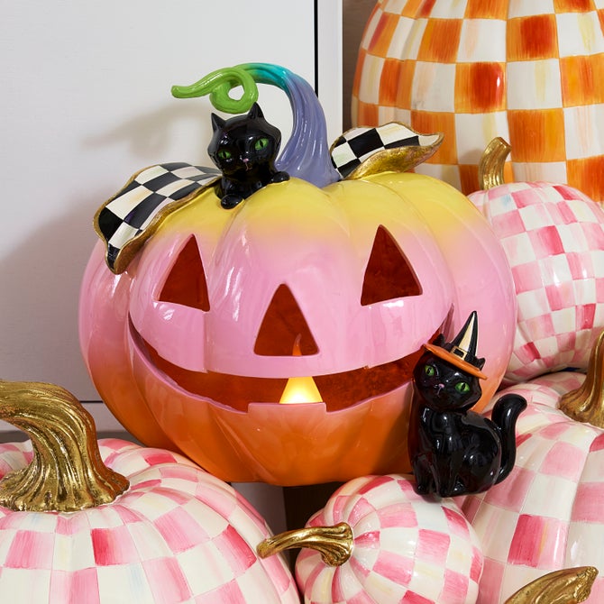 Trick or Treat Illuminated Jack O' Lantern