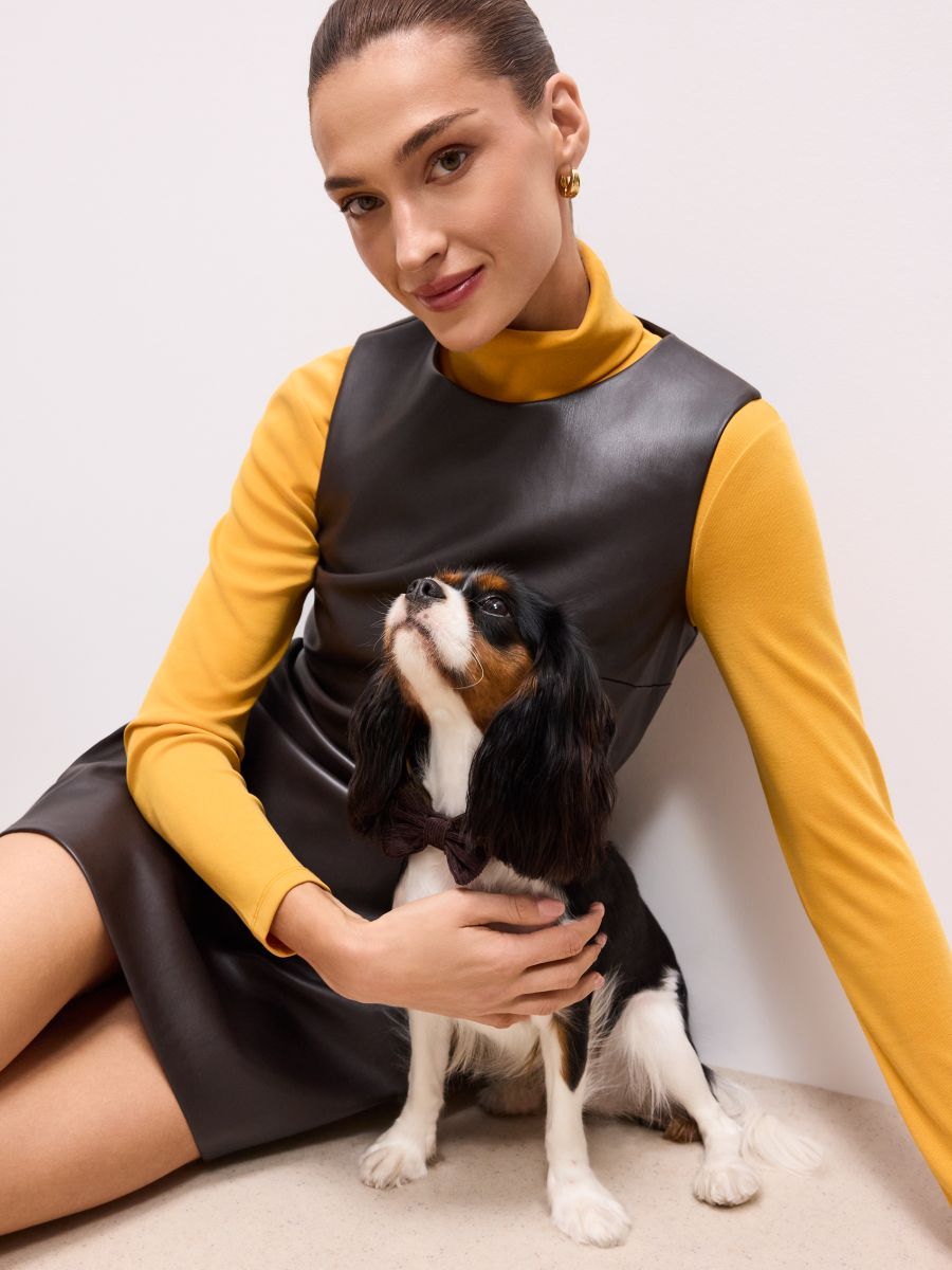 Brązowa obroża dla psa