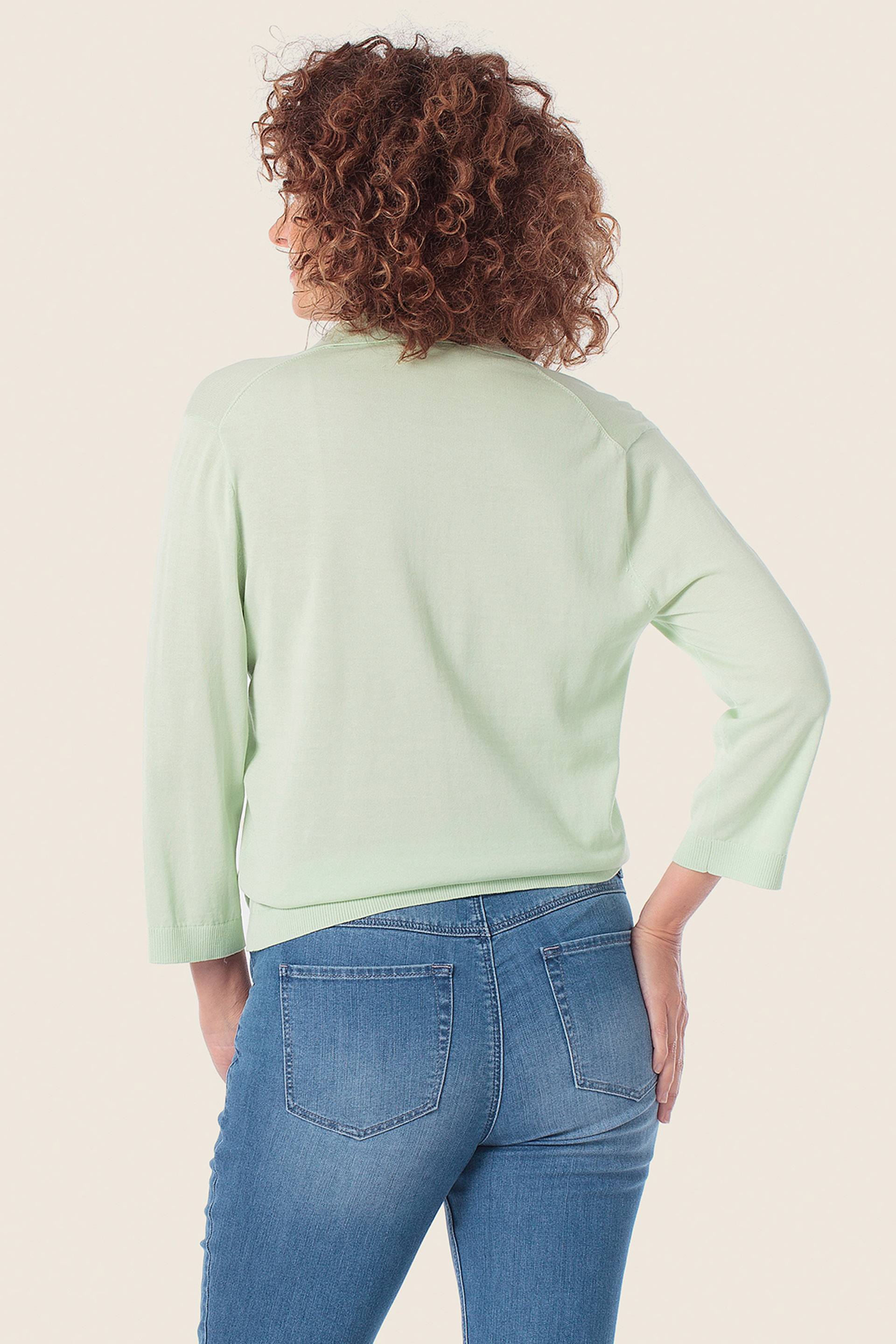 Sweatshirt mit V-Ausschnitt und Polo-Kragen