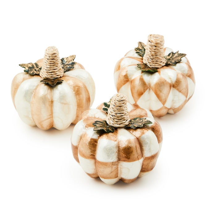 Mocha Capiz Pumpkins, Set of 3