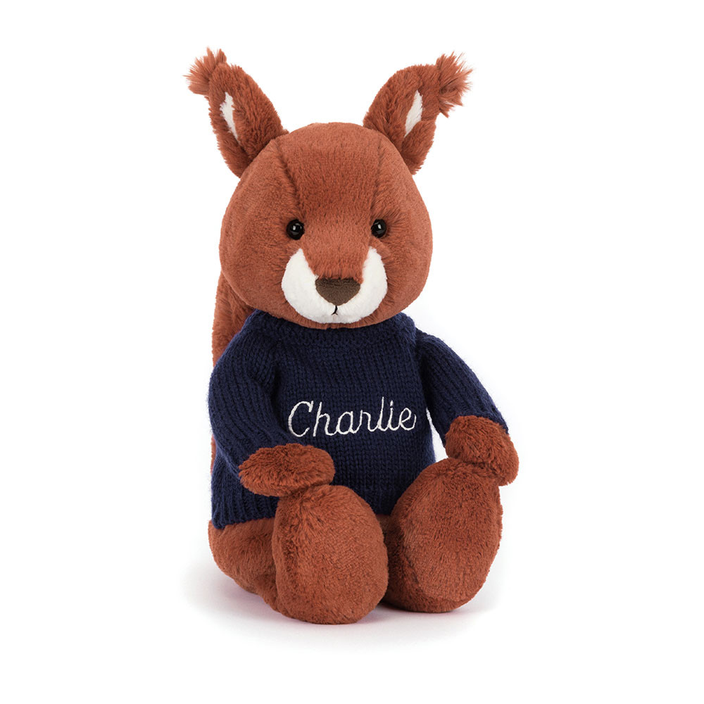 Bashful Squirrel With Personalised Navy Jumper