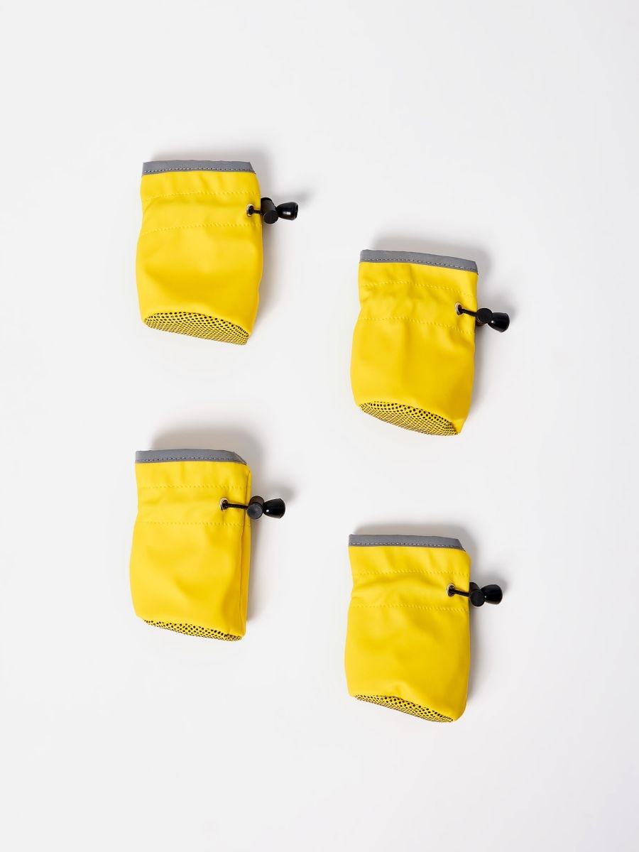 Żółte buty dla psa