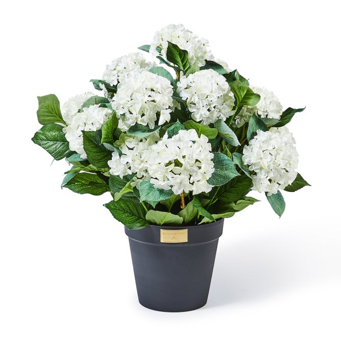 White Hydrangea Urn Filler