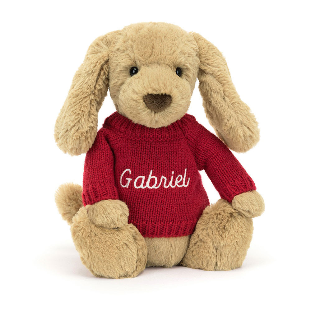 Bashful Toffee Puppy With Personalised Red Jumper