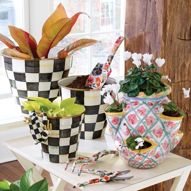 Pot Croaker Pot Climber