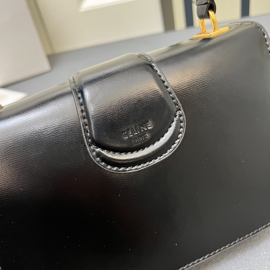 Celine bag-130