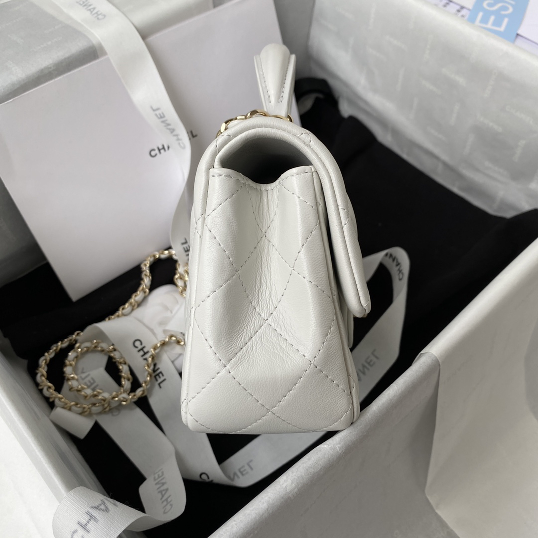 Chanel bag-100