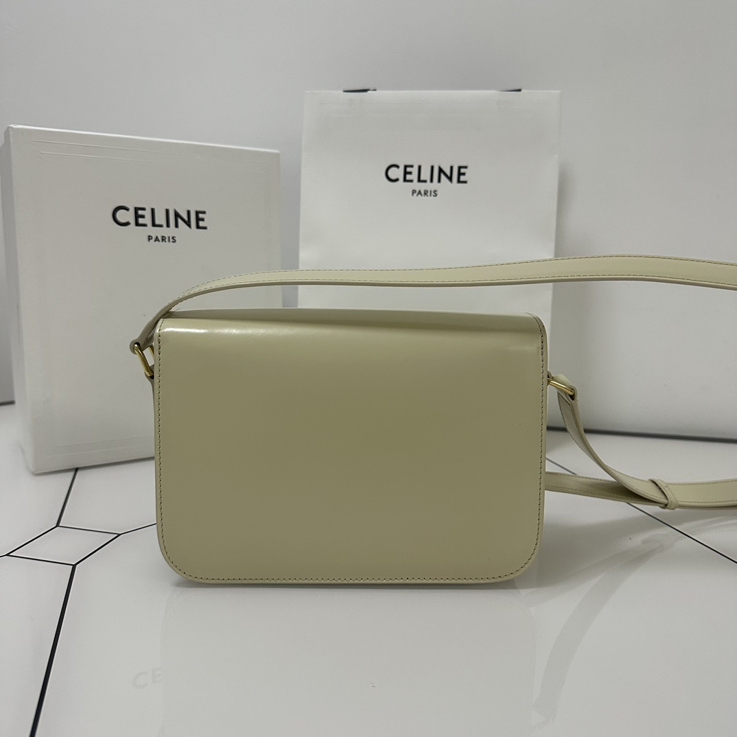 Celine bag-109