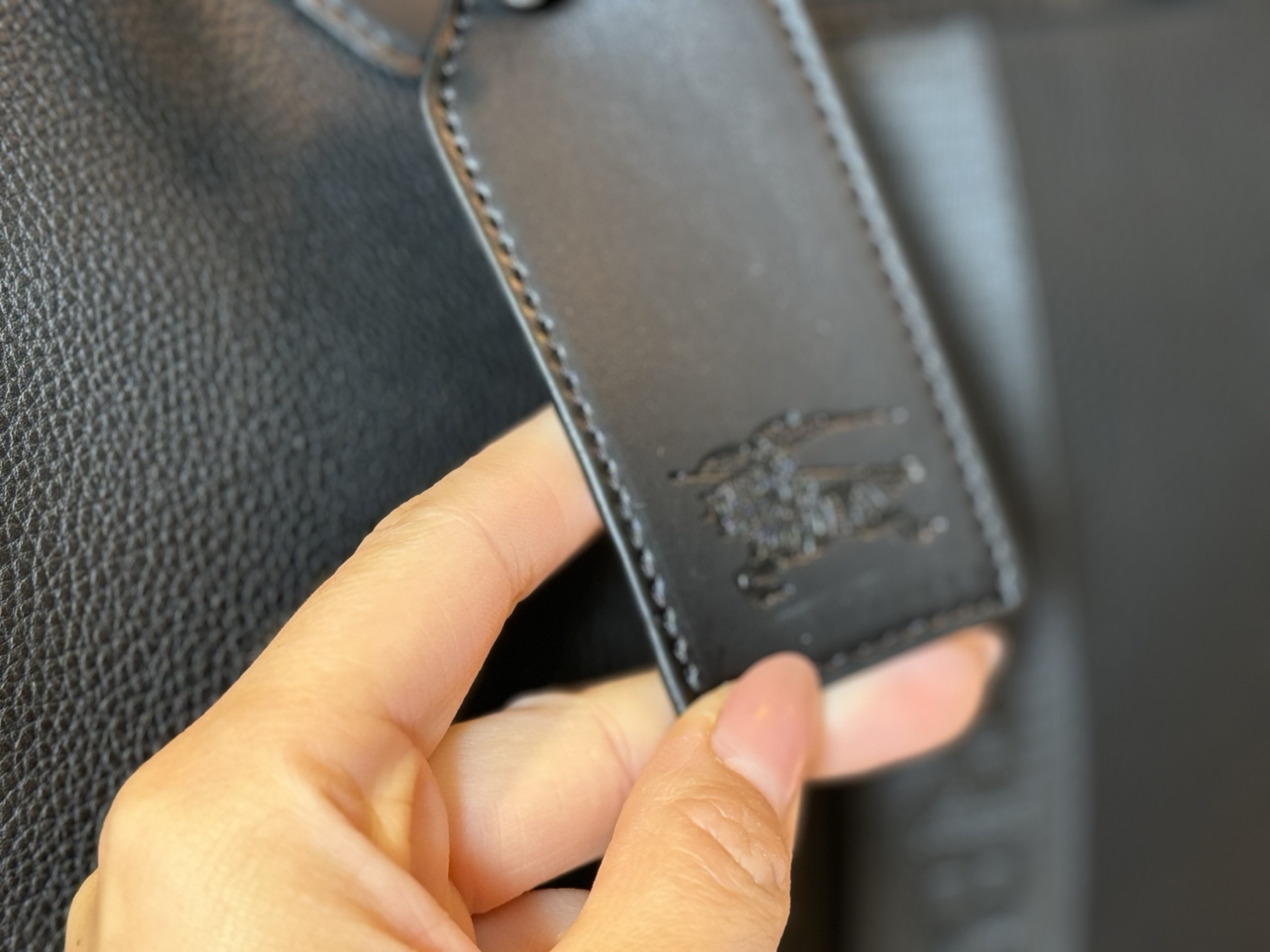 Burberry bag-3
