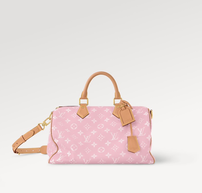 Louis Vuitton bag-9