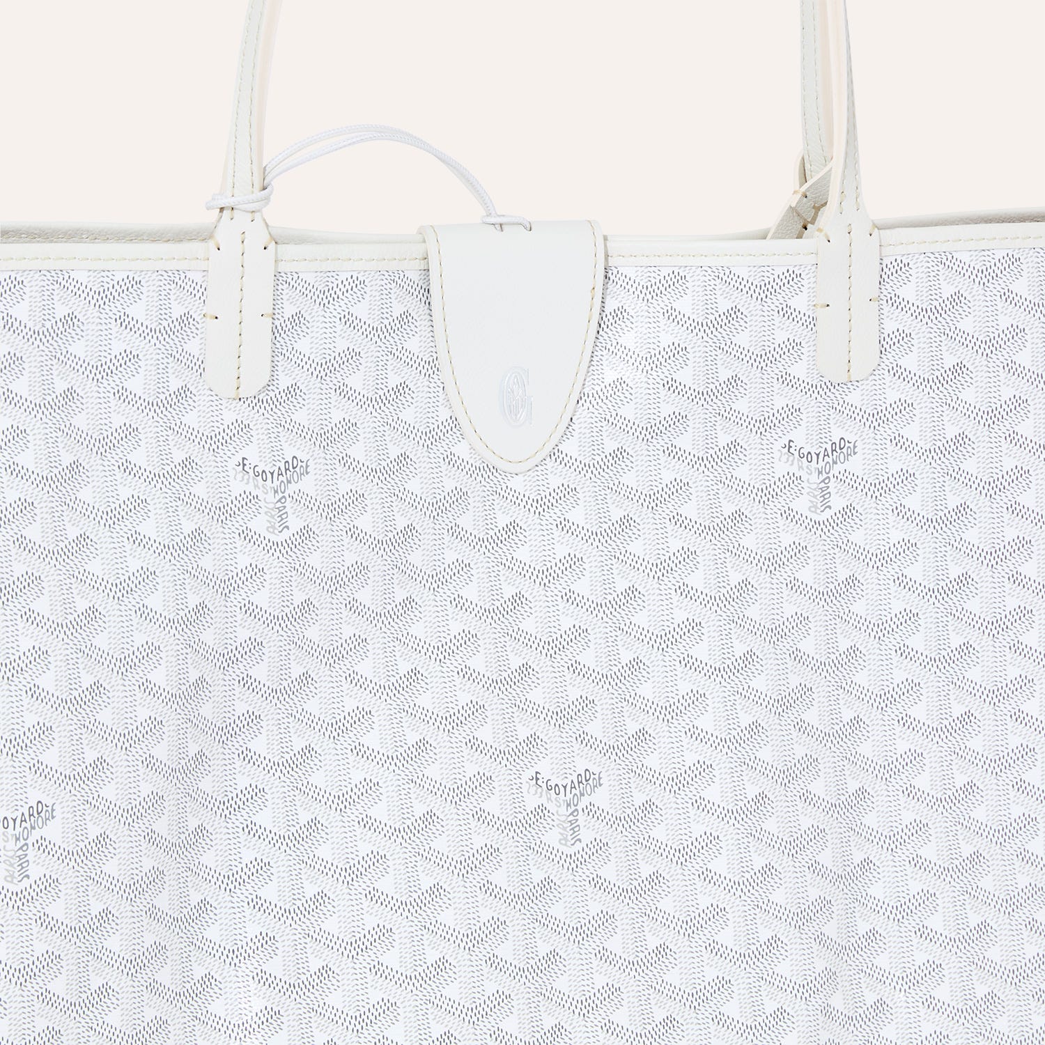 Saint Louis GM bag Stripes and Initials