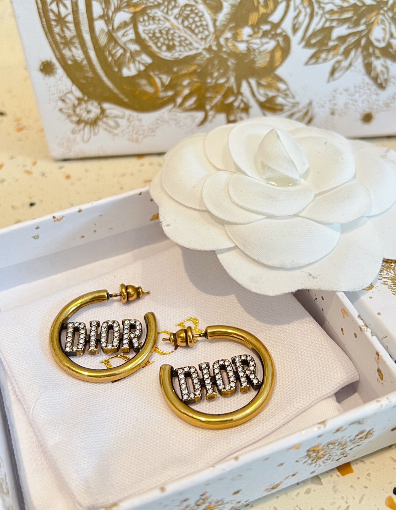 Dior earrings-38