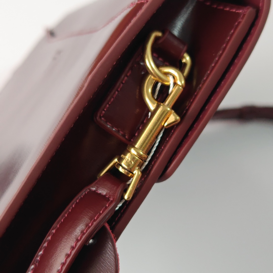 Celine bag-6