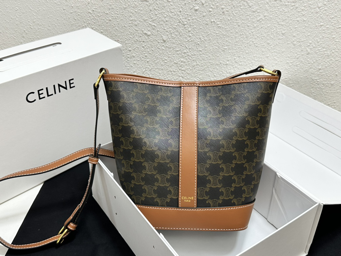 Celine bag-44