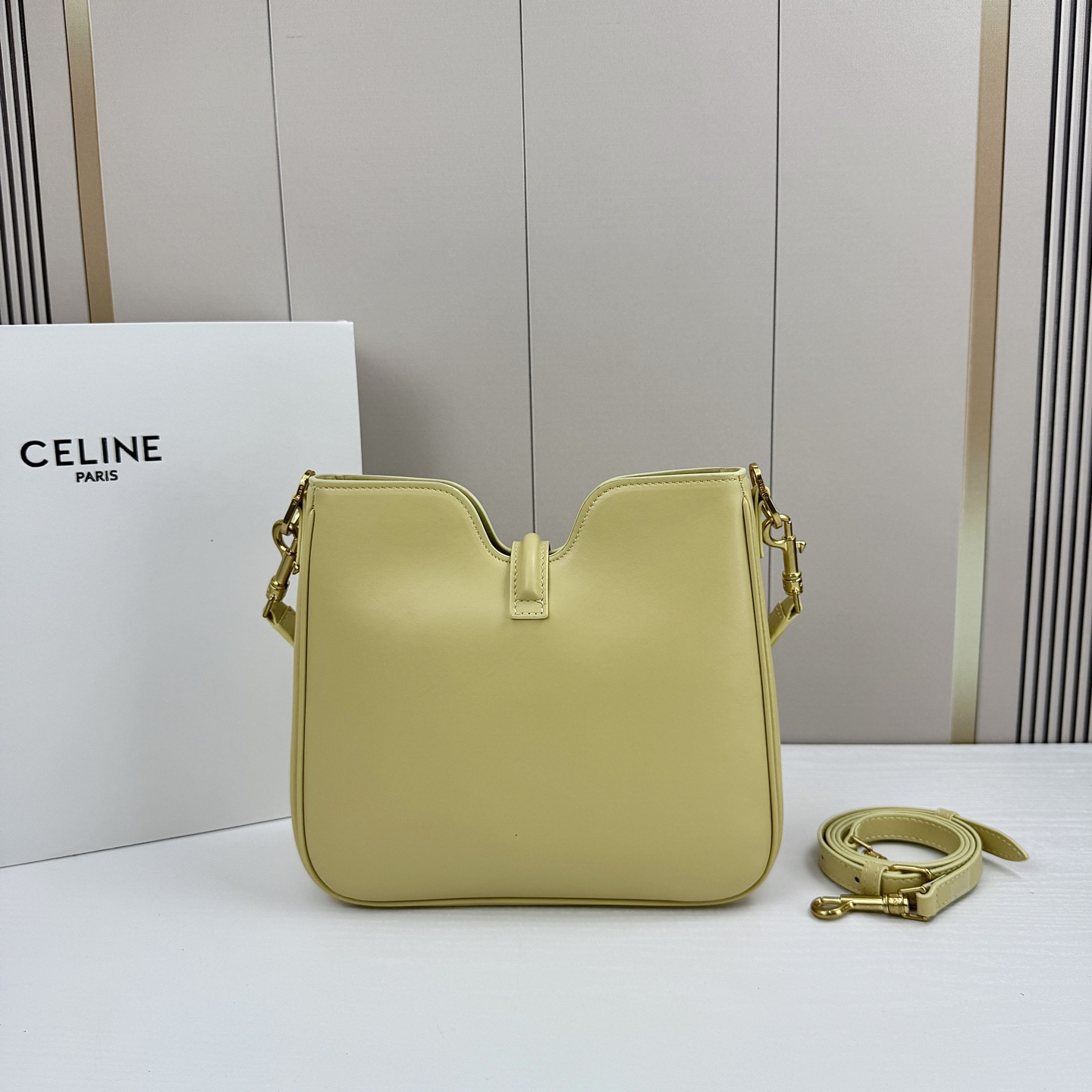 Celine bag-5