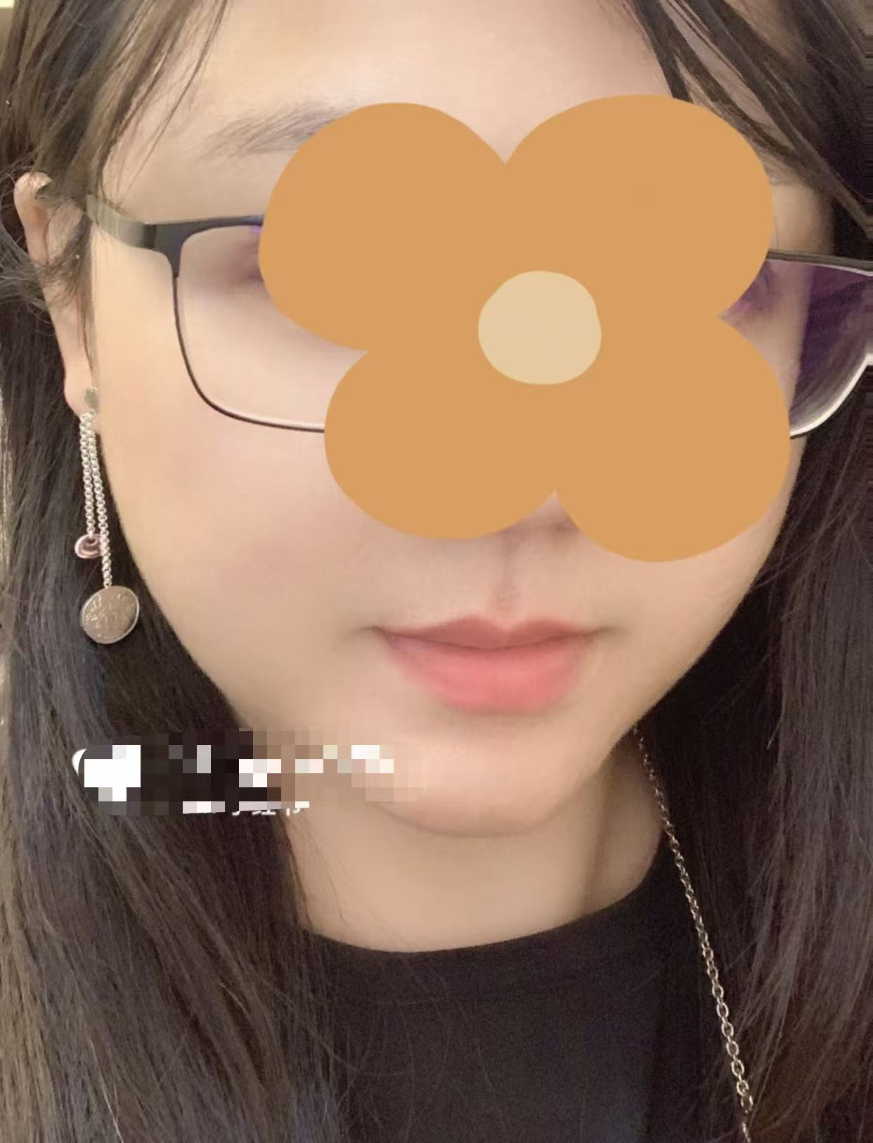 Hermes earrings-64