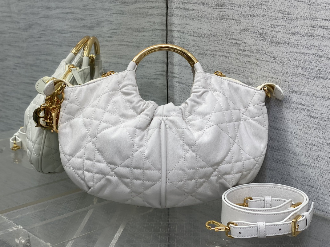 Dior bag-44