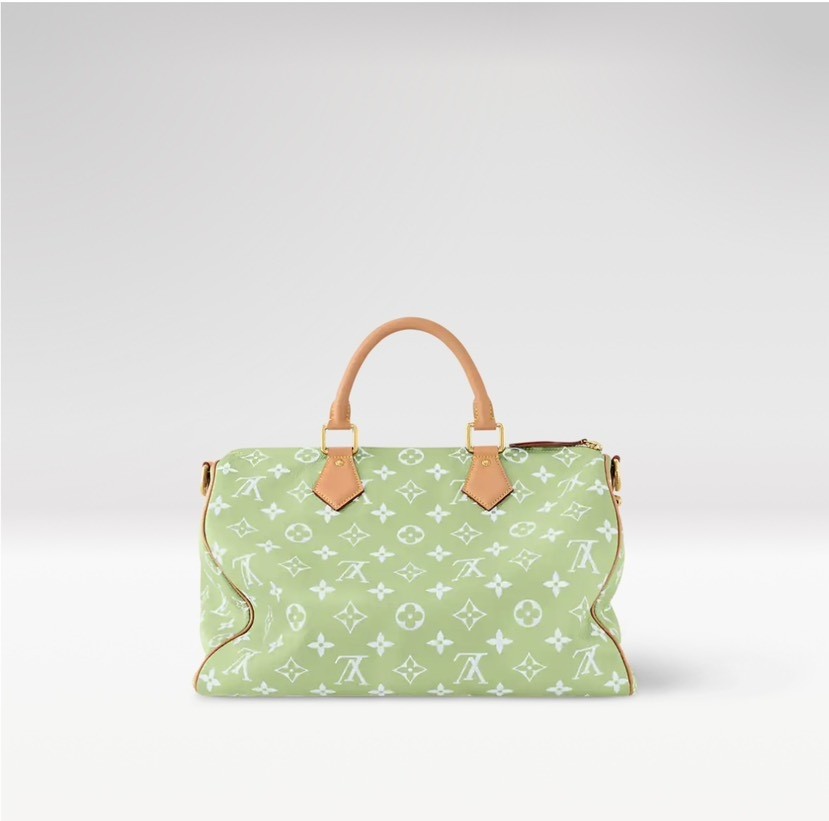 Louis Vuitton bag-115