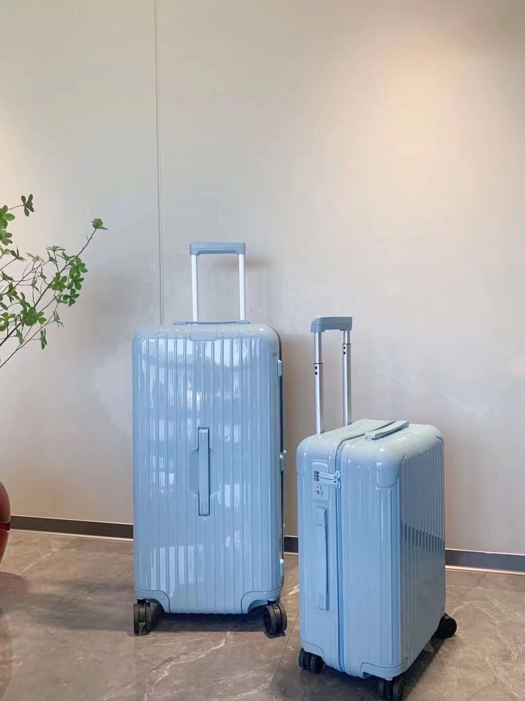 RIMOWA luggage-101