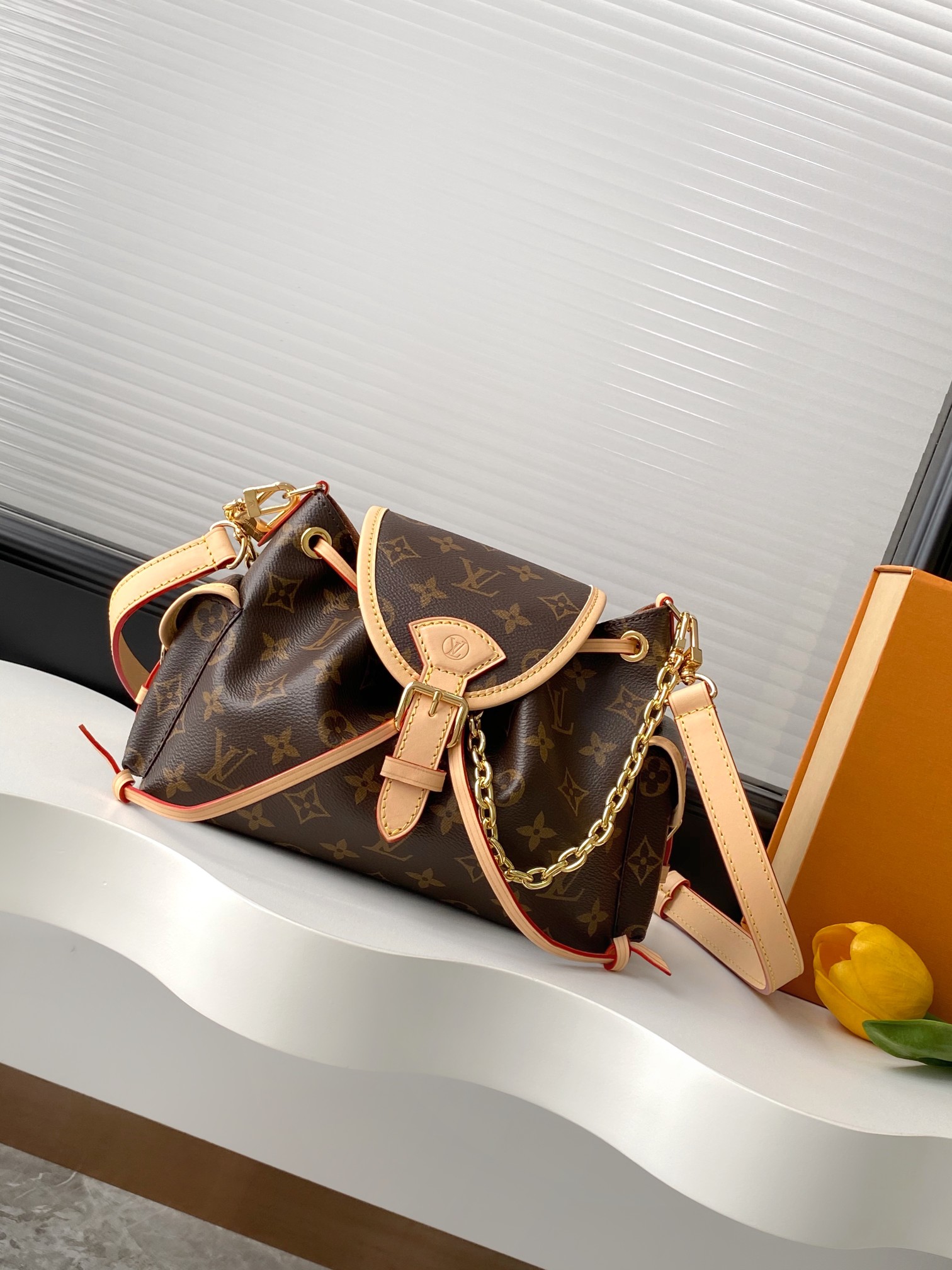 Louis Vuitton bag-67