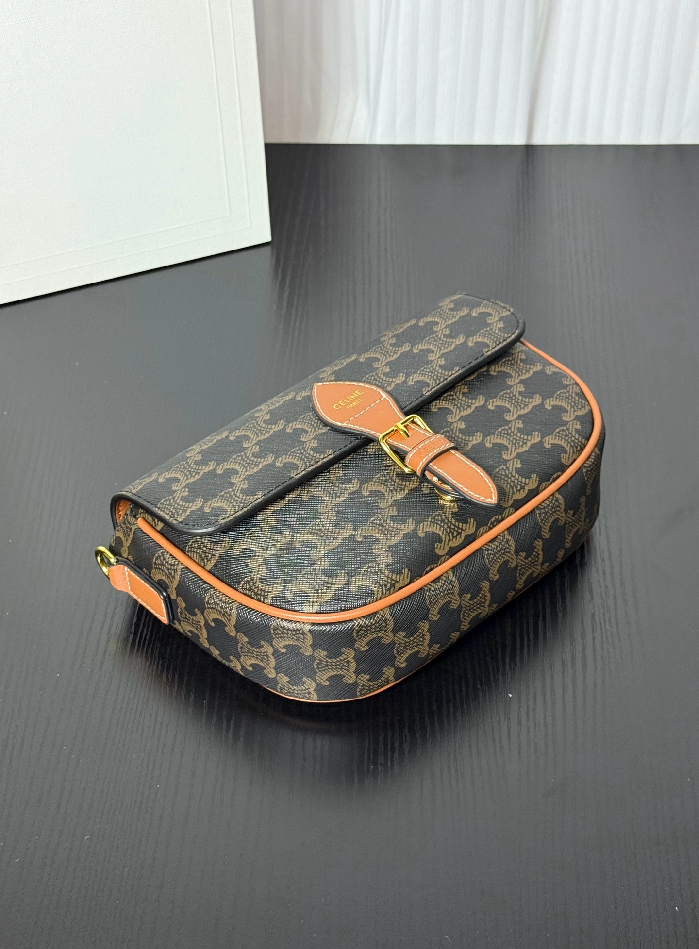 Celine bag-2