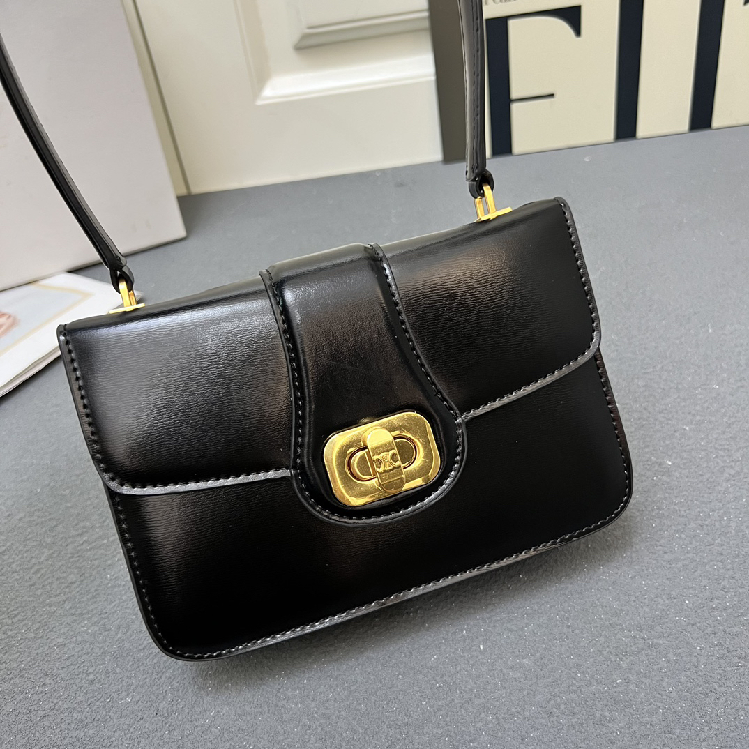 Celine bag-130