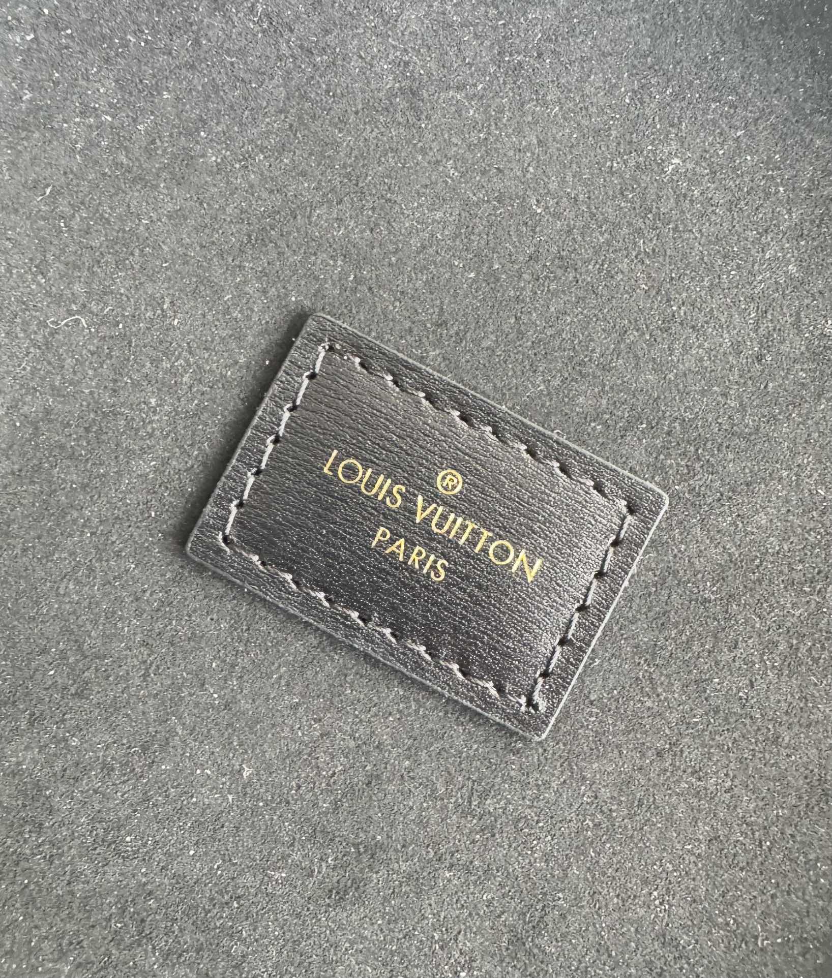 Louis Vuitton bag-28