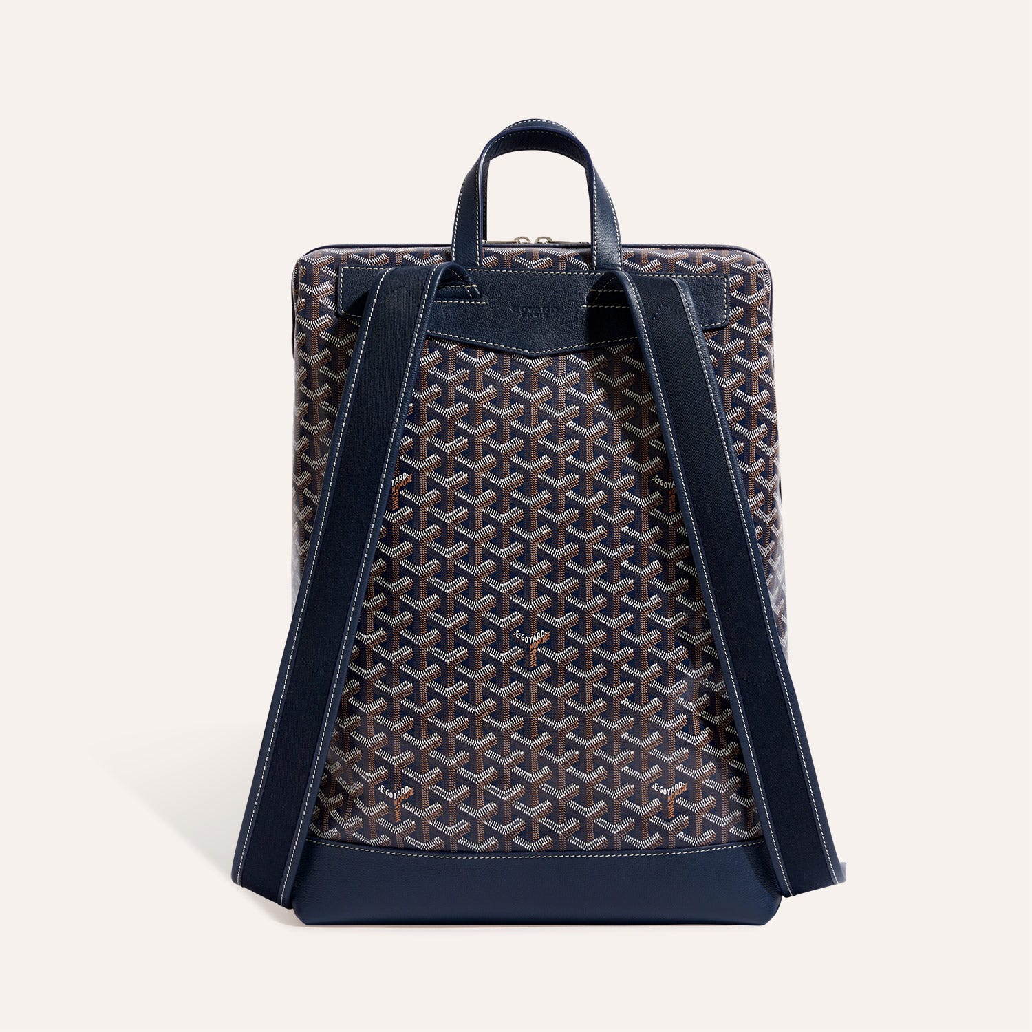 Cisalpin Backpack