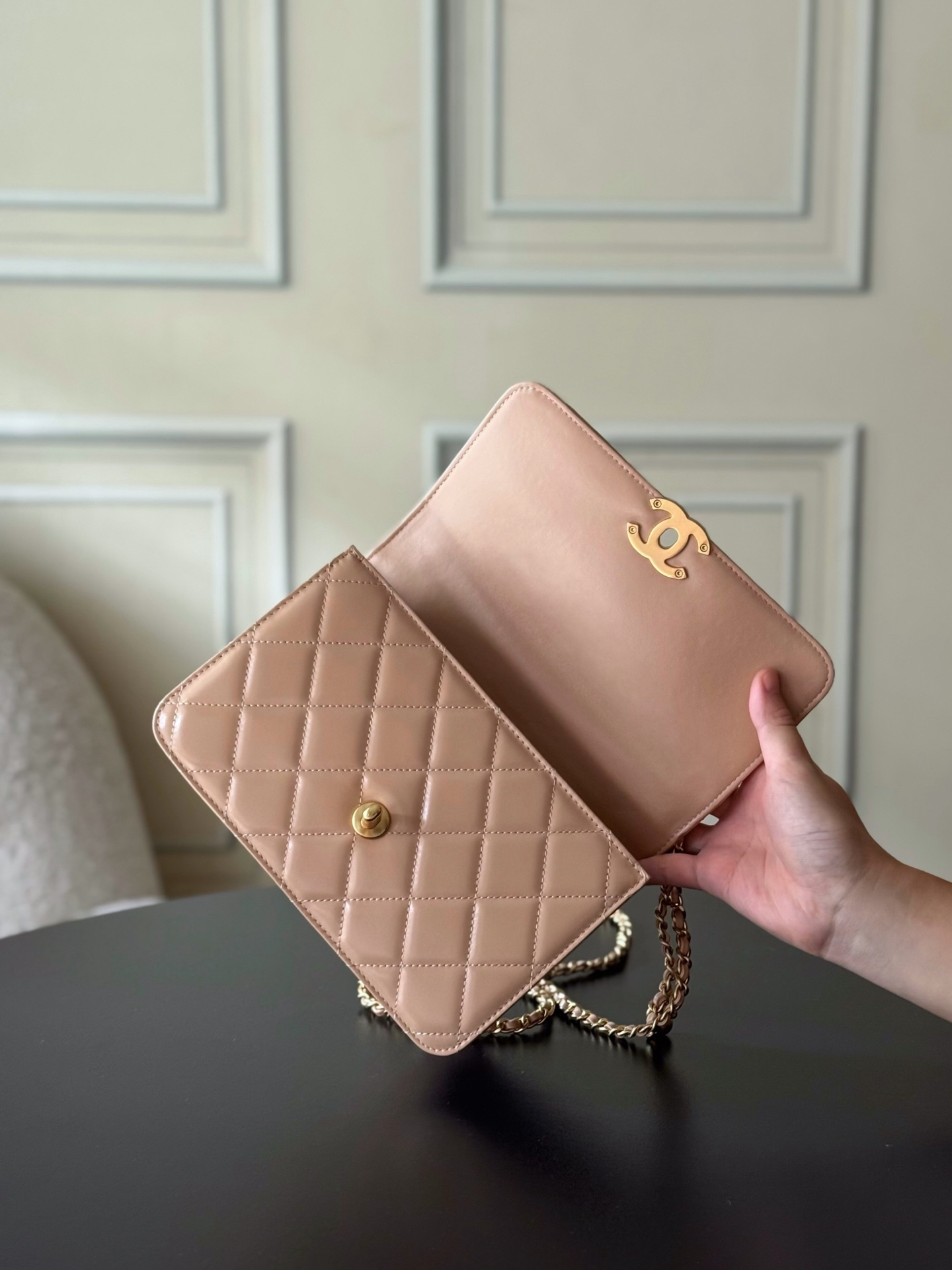 Chanel bag-192