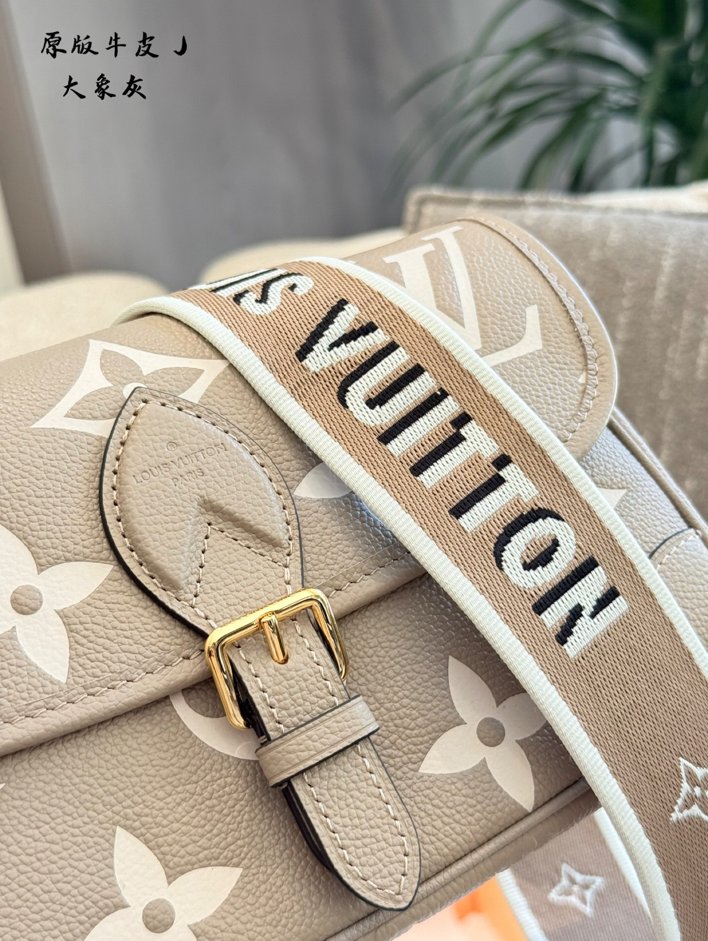 Louis Vuitton bag-111