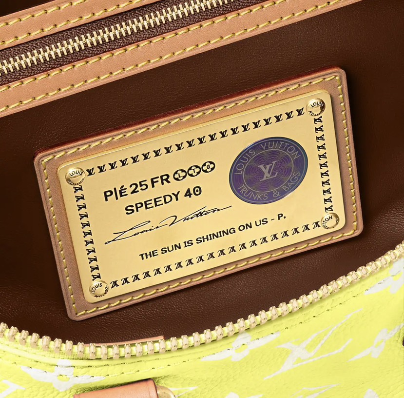 Louis Vuitton bag-6