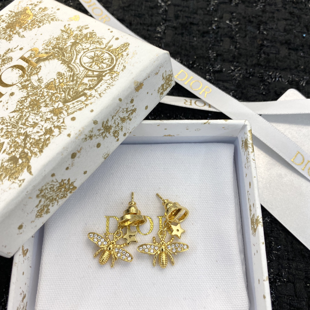 Dior earrings-86