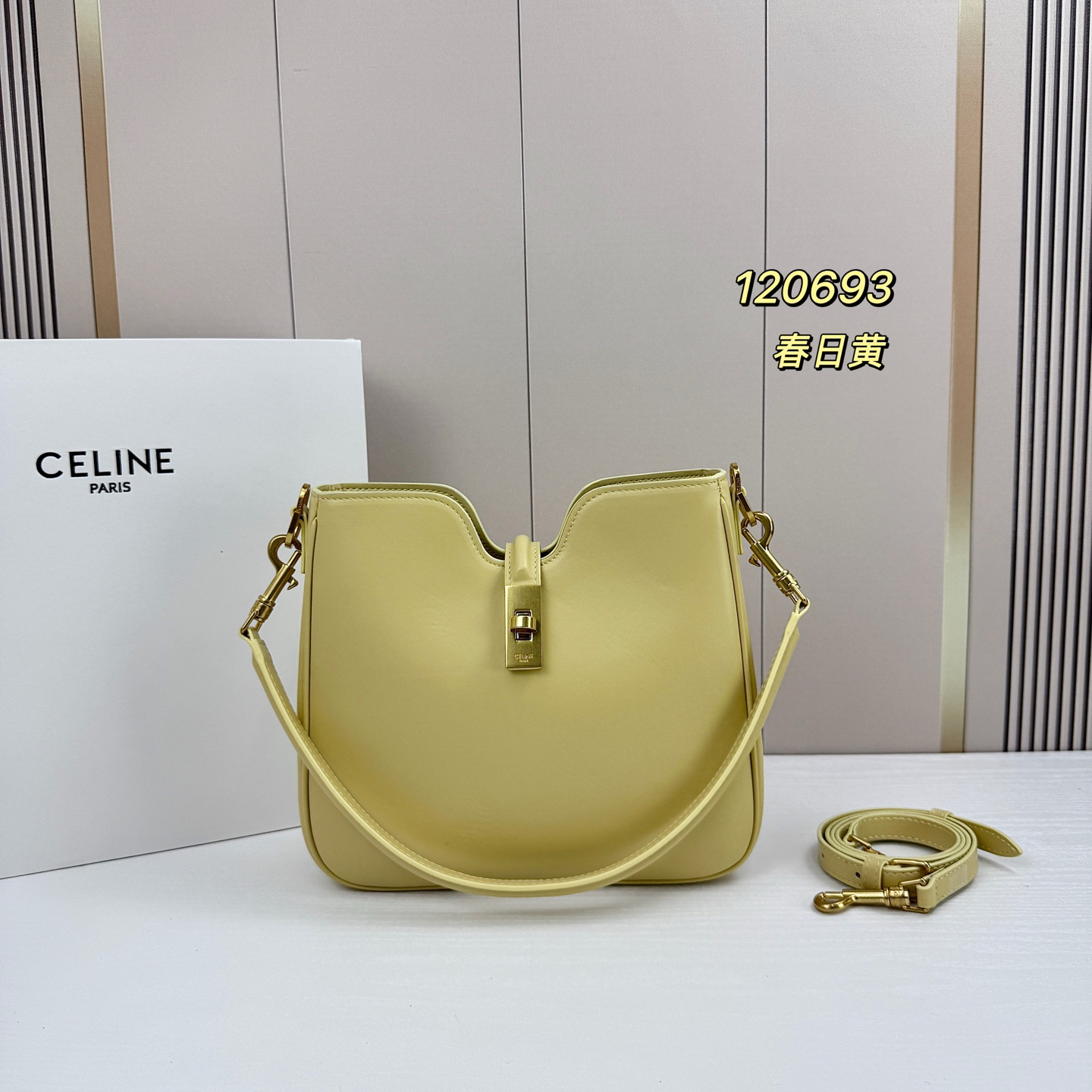 Celine bag-5