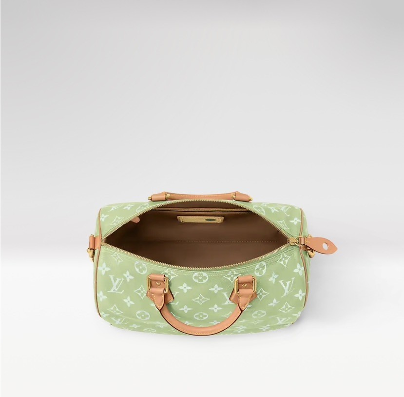 Louis Vuitton bag-115