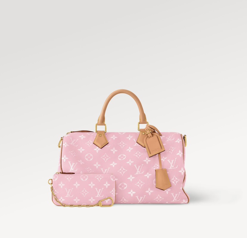Louis Vuitton bag-9