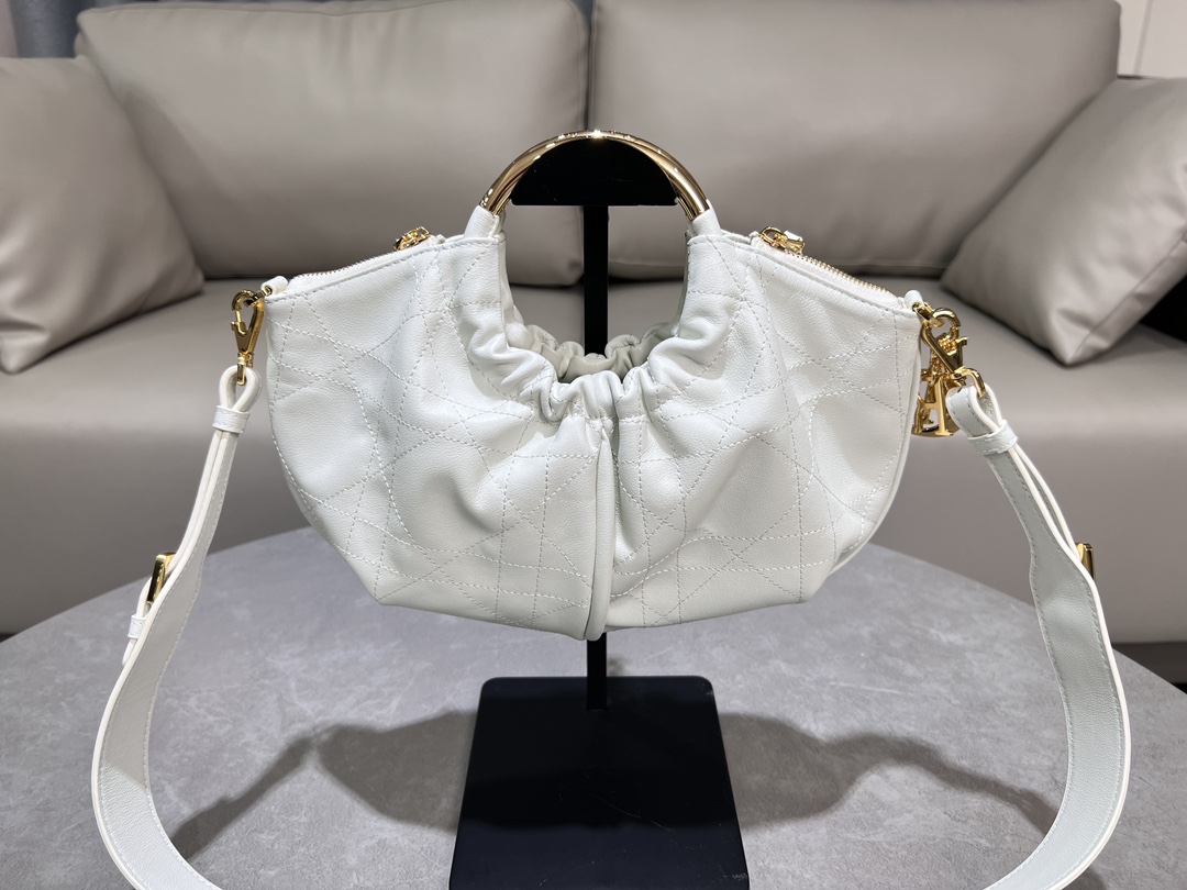 Dior bag-39