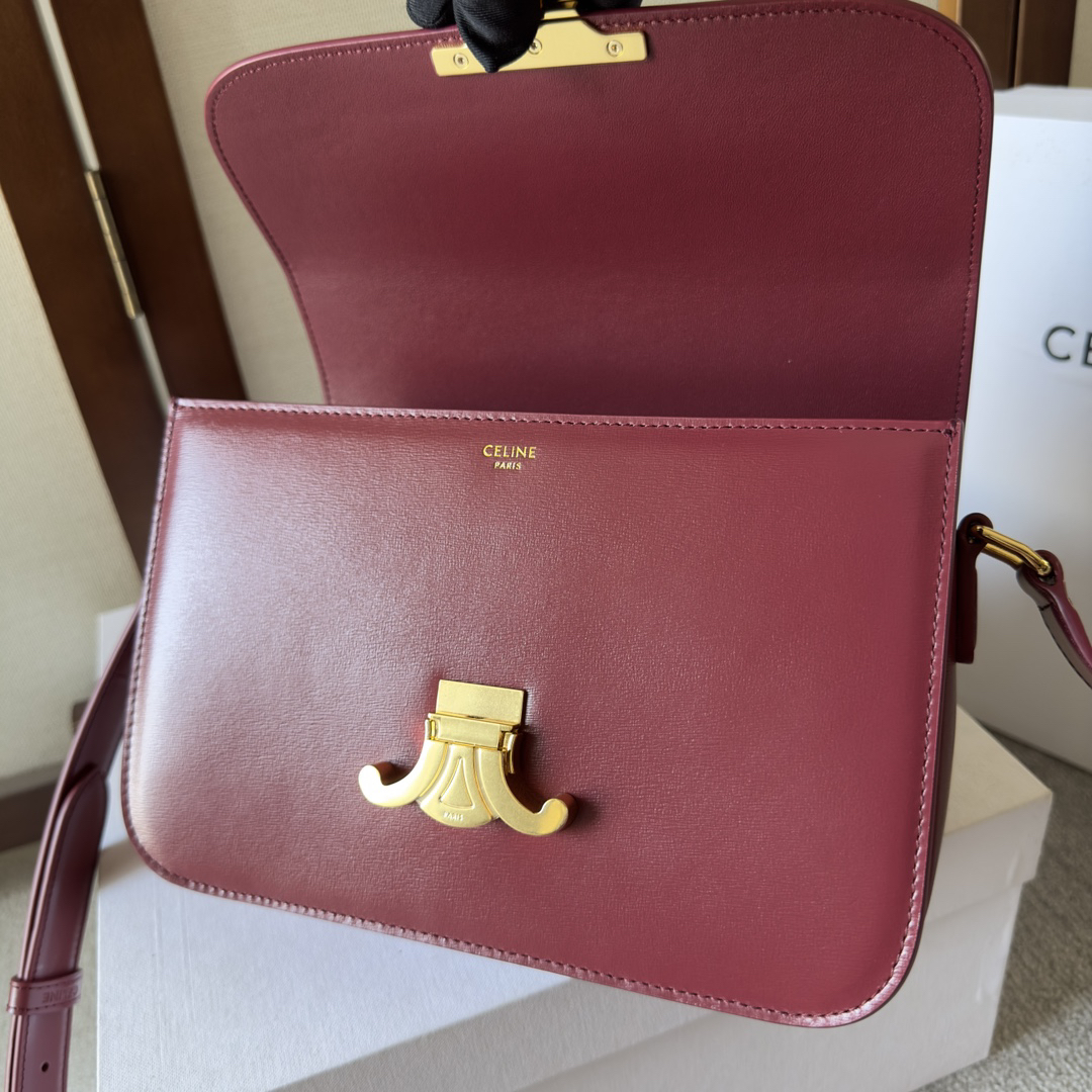 Celine bag-77