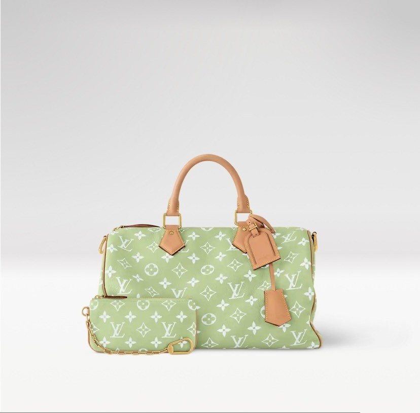Louis Vuitton bag-115