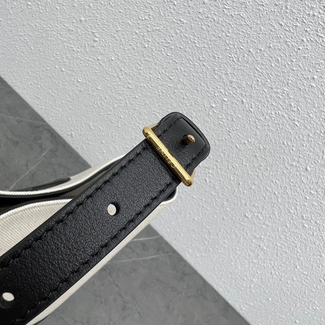 Celine bag-133