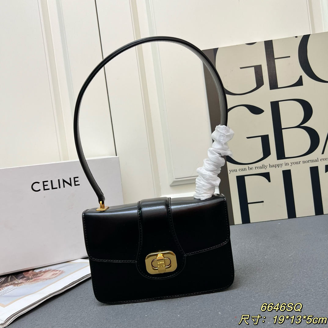 Celine bag-130