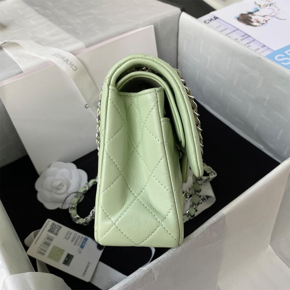 Chanel Classic Flap Medium SiLouis Vuittoner hardware