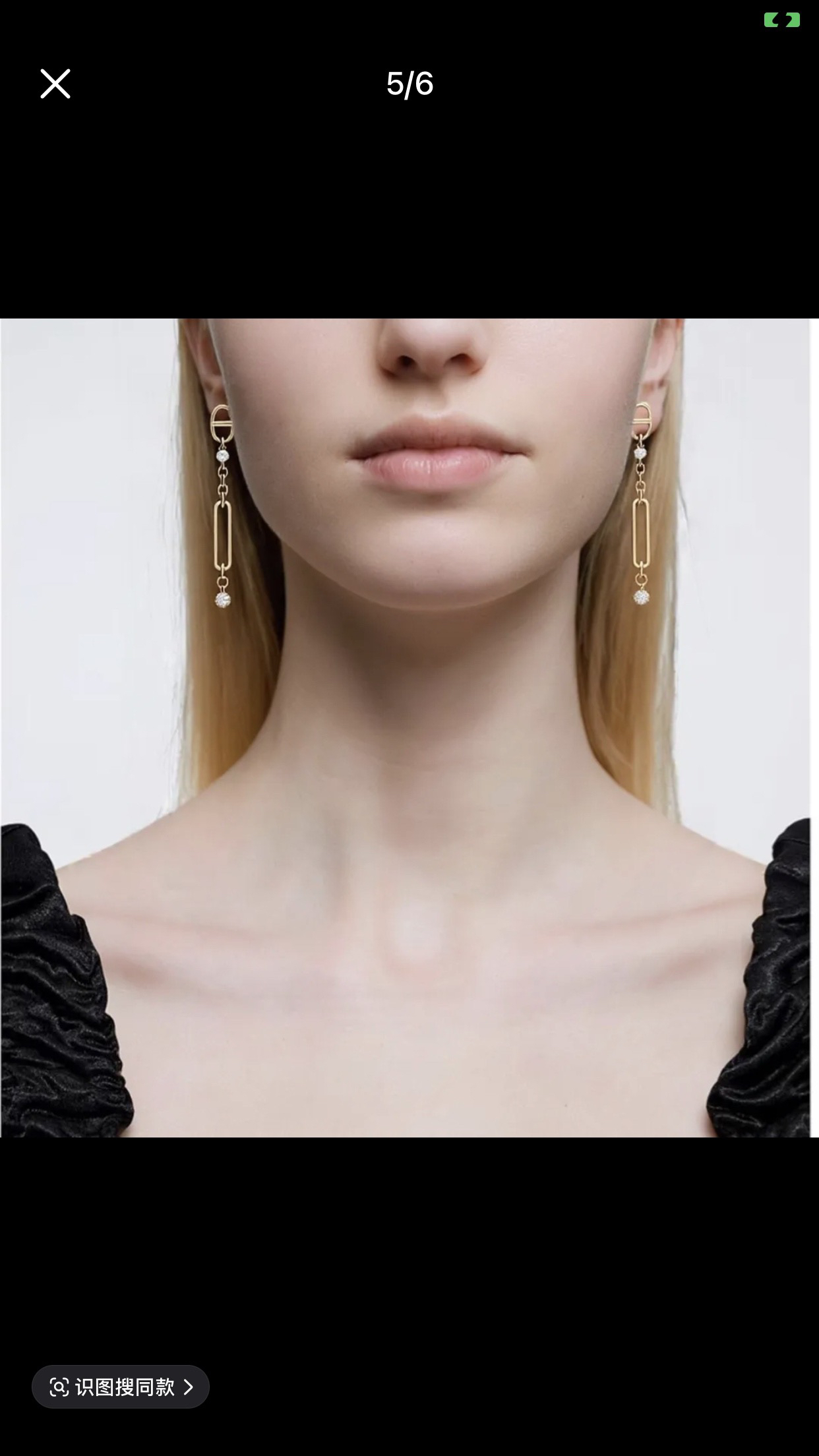 Hermes earrings-68