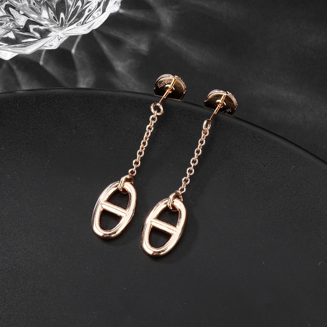 Hermes earrings-81