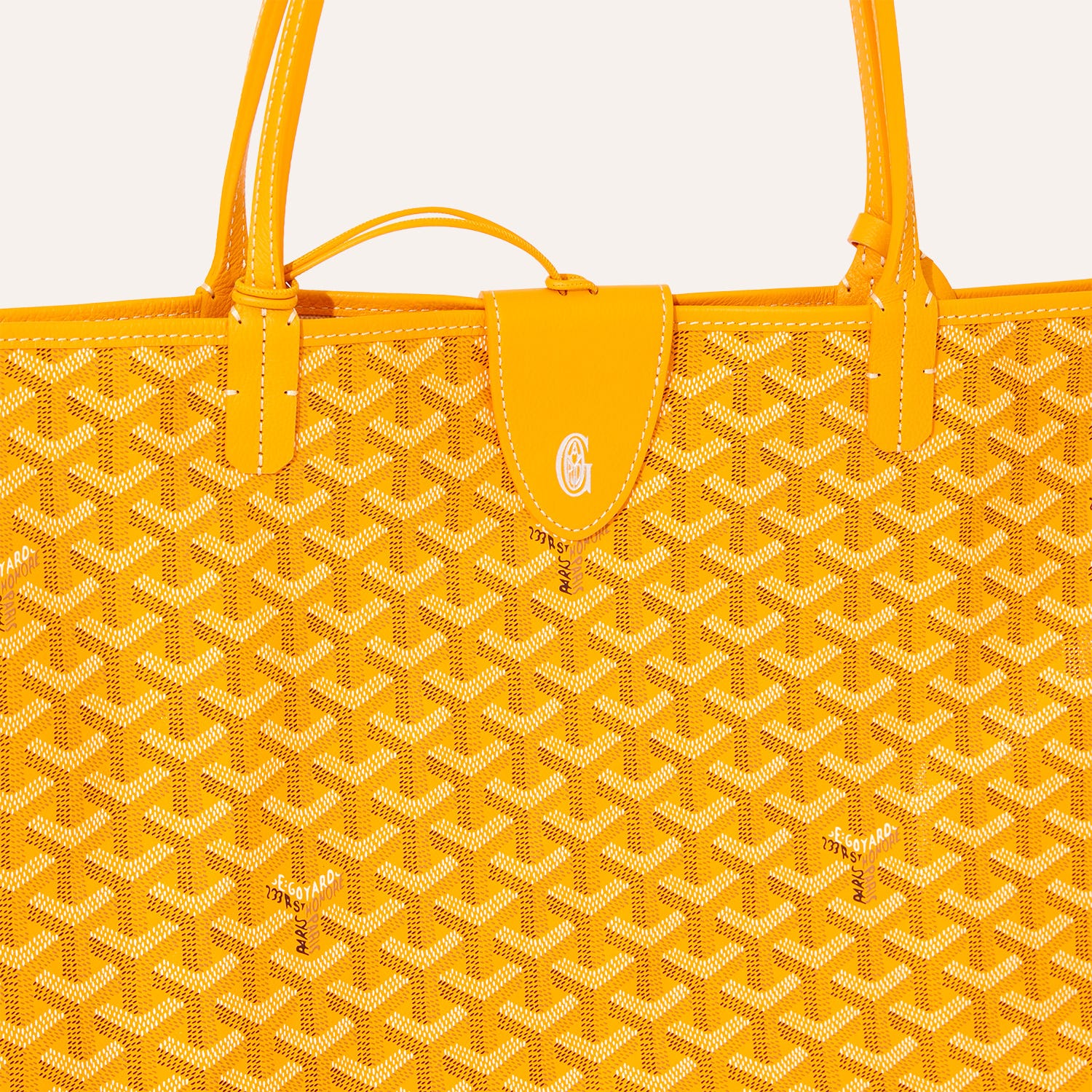 Saint Louis GM bag Stripes and Initials