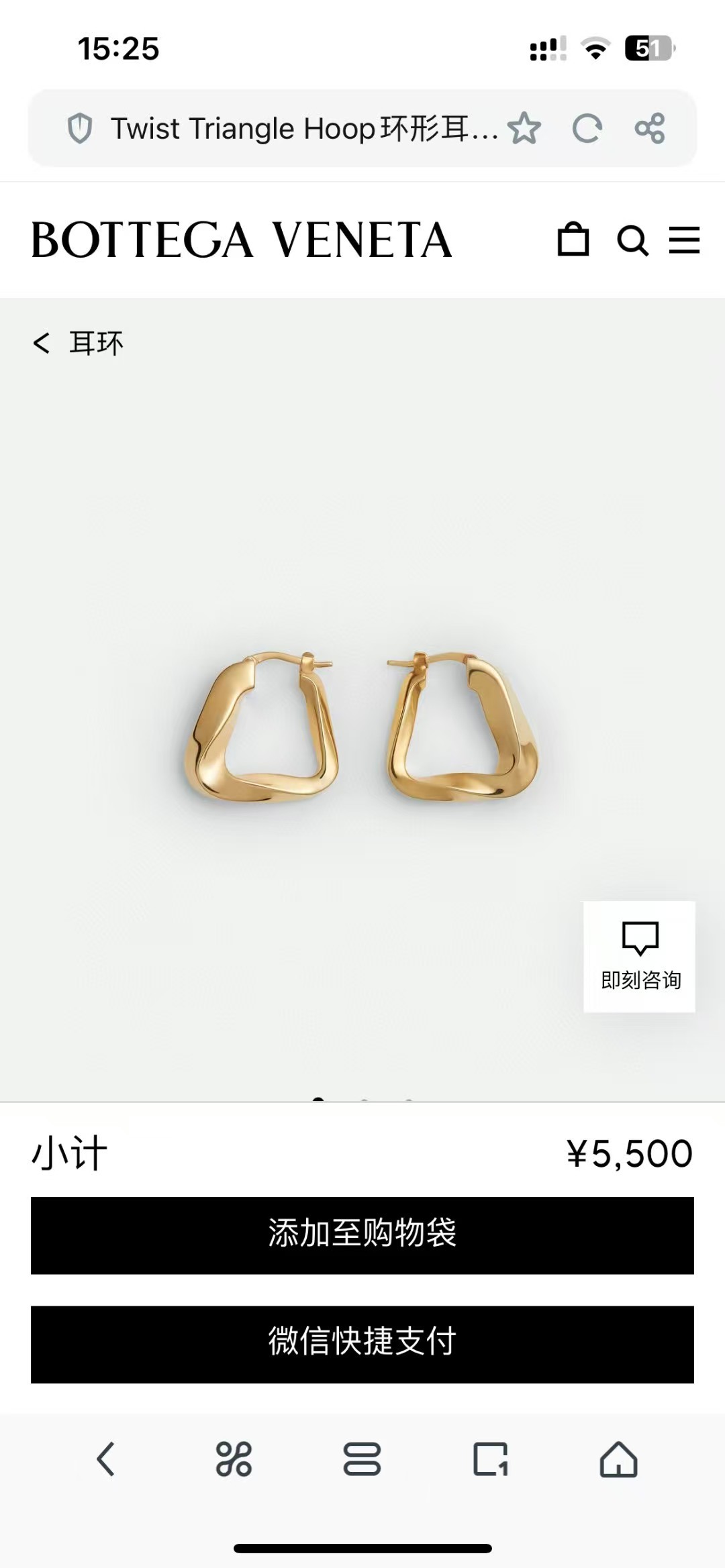 Bottega Veneta earrings-60