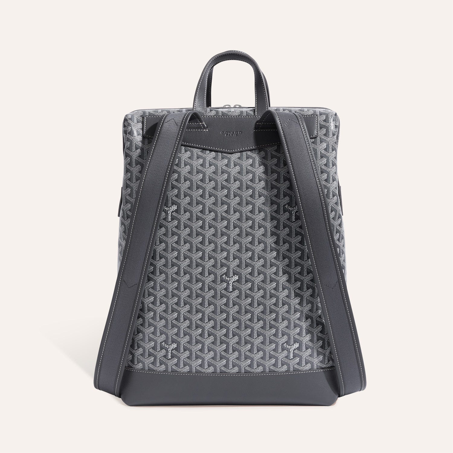 Cisalpin Backpack