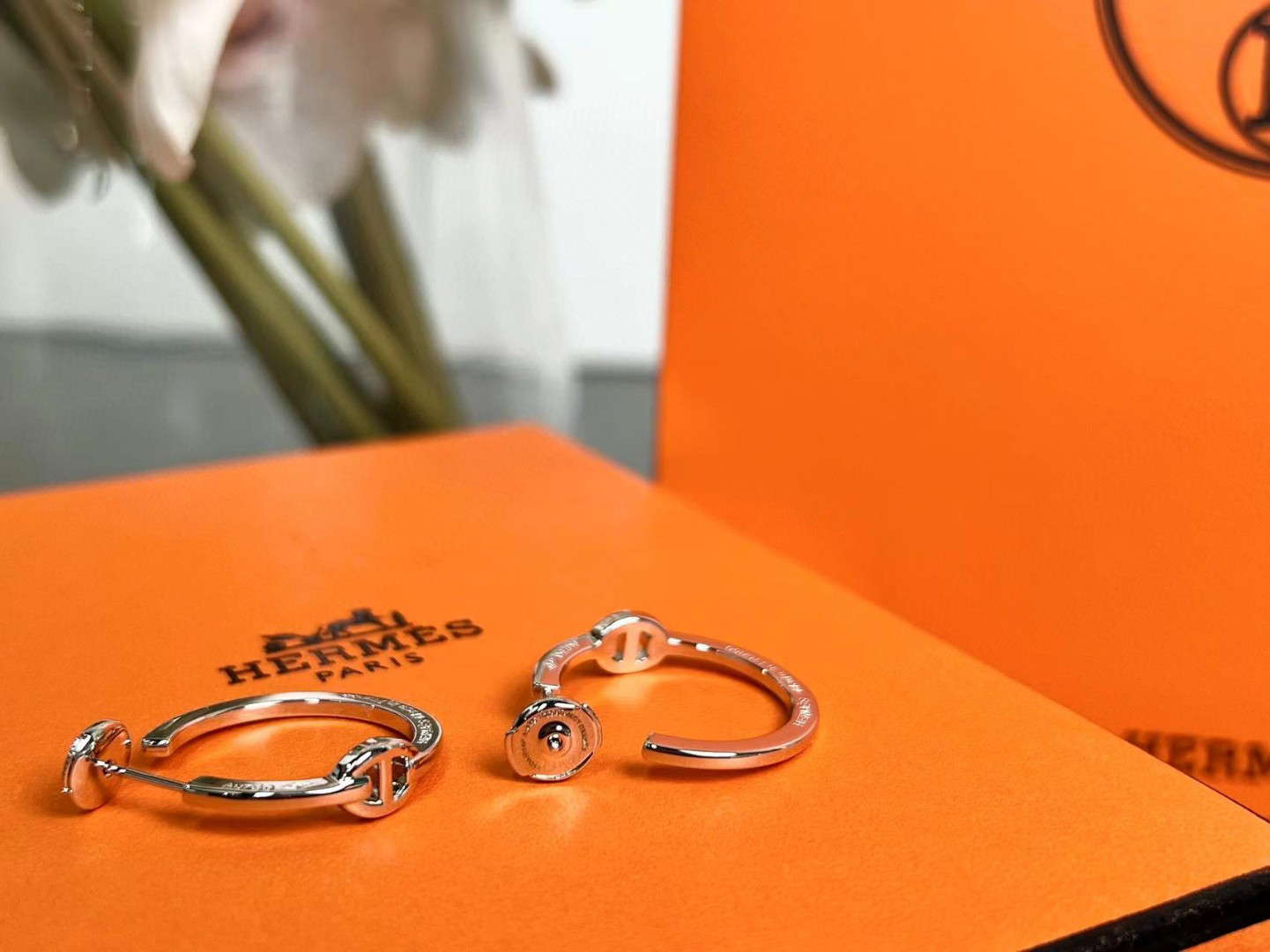 Hermes earrings-61