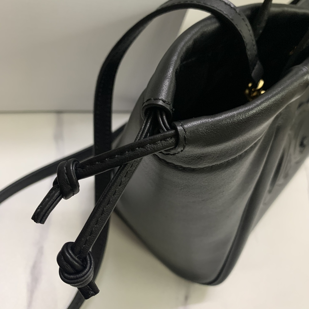 Celine bag-117