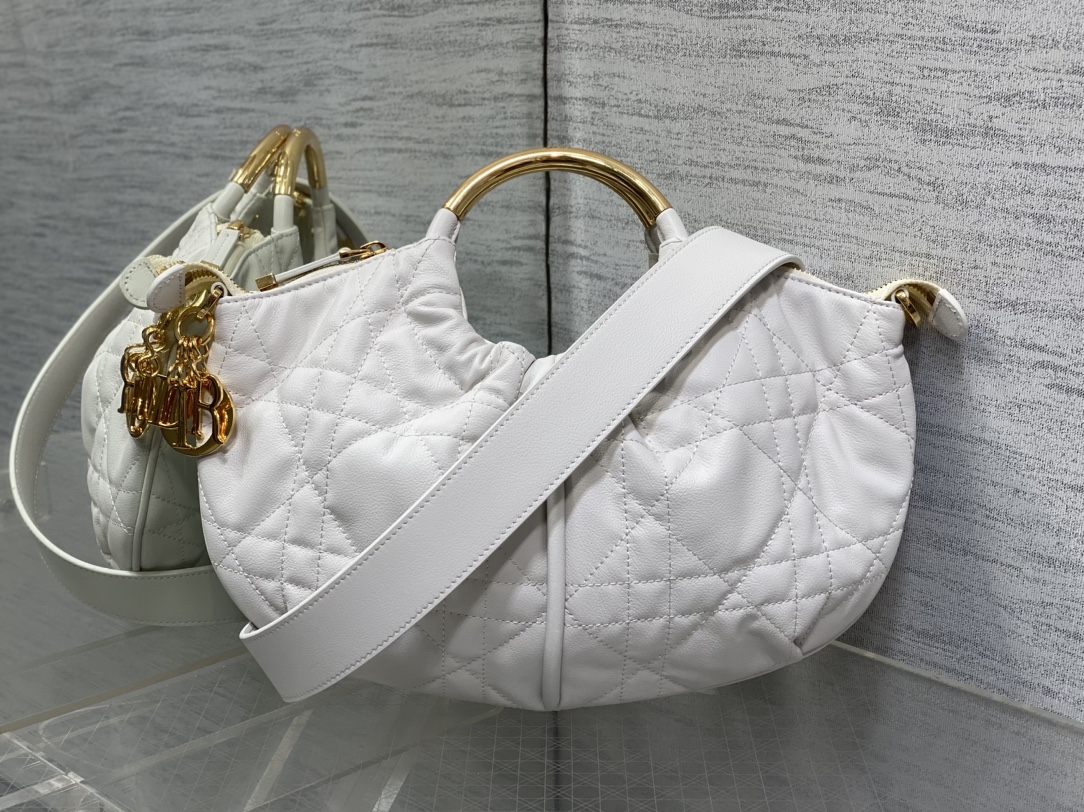 Dior bag-19